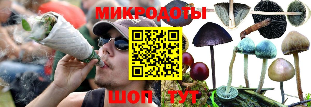 Людиново  Псилоцибиновые грибы MAGIC MUSHROOMS  Вход с VPN 