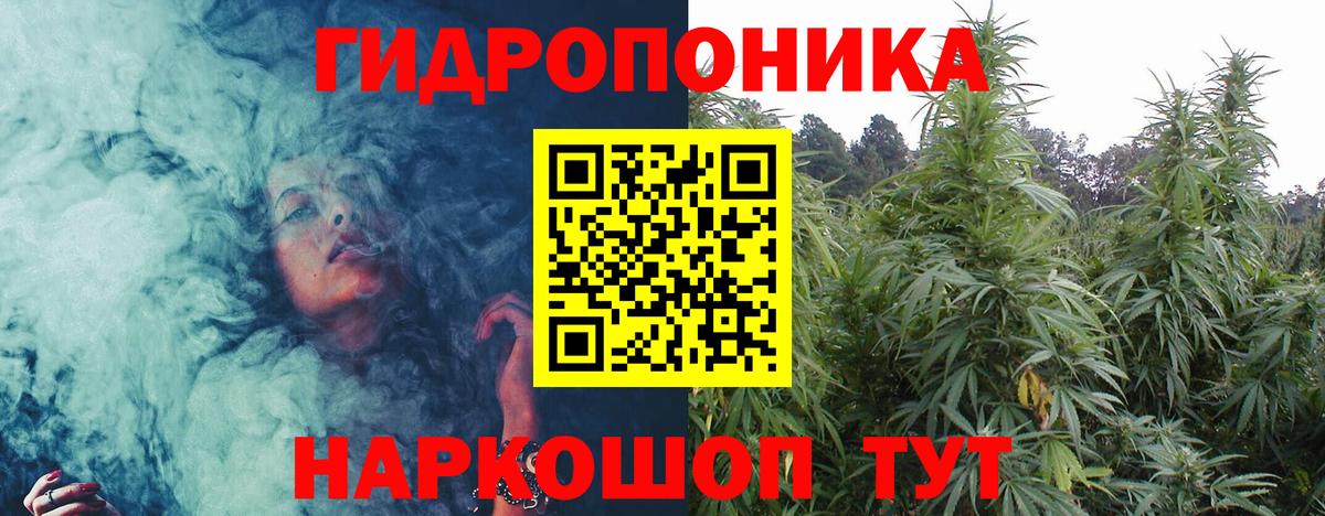 Людиново  Шишки марихуана планчик  Вход с VPN  Шишки марихуана OG Kush  Бошки Шишки Ganja 